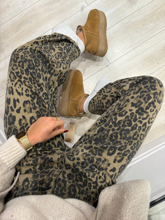 Jean Appoline léopard